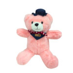 Teddy Pink Soft Plush Toy for Kids (2+ Years) | Toyship